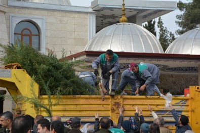 Korkuteli'nde Vatandaşlara Ücretsiz 10 Bin Adet Fidan Dağıtıldı