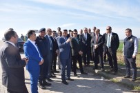 ORMAN İŞLETME MÜDÜRÜ - Kozan'da 'Adalet Ormanı' Fidan Dikim Etkinliği