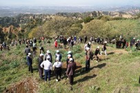 YıLMAZ KURT - Kuyucak'ta Fidanlar Toprakla Buluştu