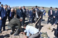 Mahkumlar 'Adalet Ormanı' İçin Fidan Dikti