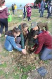 ERHAN GÜNAY - Öğrenciler, Dünya Ormancılık Günü'nde Fidanları Toprakla Buluşturdu