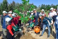 KEÇIBOYNUZU - Öğrenciler, Fidanları Toprakla Buluşturdu