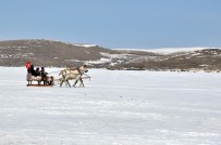 ÇıLDıR GÖLÜ - Kars'ta 40 Santim Buz Tutan Göl Üzerinde Atlı Kızak Keyfi