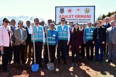 Tunceli'de 'Adalet Ormanı' Oluşturuldu