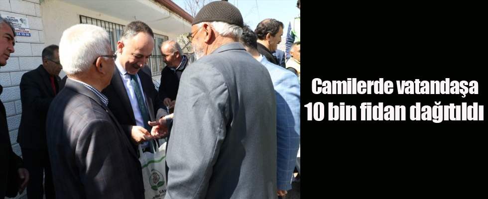 Camilerde vatandaşa 10 bin fidan dağıtıldı