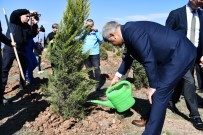 ORMAN İŞLETME MÜDÜRÜ - İmzalanan Protokol Kapsamında 560 Fidan Dikildi