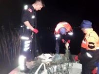 İSRAİL SAZANI - Kaçak Balık Avcılarına Operasyon