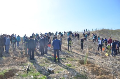 Kahramanmaraş'ta Adalet Ormanı Kuruldu