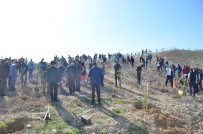 BOLAT - Kahramanmaraş'ta Adalet Ormanı Kuruldu