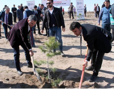Kayseri'de 'Adalet Ormanları' Oluşturuluyor