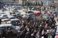 DENIZ PIŞKIN - Tosya'da 6 Bin Adet Fidan Dağıtıldı