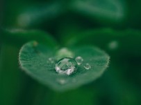 DÜNYA SU GÜNÜ - Türkiye'de Su Kaçakları Ve Kayıpları Yüzde 50'Nin Üzerinde