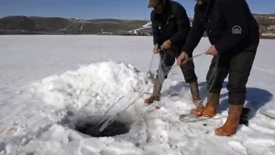 Bahar Gelince Eskimo Usulü Avcılığa Veda Ettiler