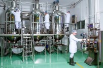 TAKVİYE EDİCİ GIDA - Bodrum'a 10 Milyon Lira Yatırımla Bitkisel Üretim Tesisi Kuruldu