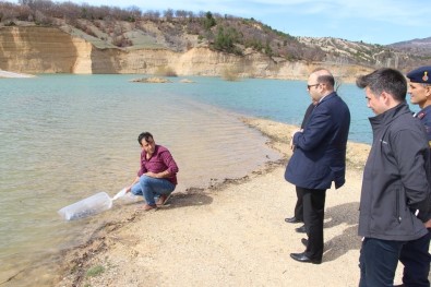 Göletlere 25 Bin Adet Pullu Sazan