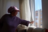 KOLTUK ALTI - Güneşin Erittiği Kadının Yaz Kabusu