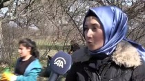 KARAHıDıR - Öğrenciler Çevre Temizliğine Kliple Dikkati Çekti