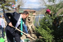 ORMAN İŞLETME MÜDÜRÜ - Ovacuma'da Fidanlar Toprakla Buluştu