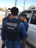 BOTAŞ - Cizre'de 105 Polisle Uyuşturucu Denetimi