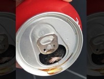 COCA COLA - Dünyaca ünlü koladan ölü fare çıktı