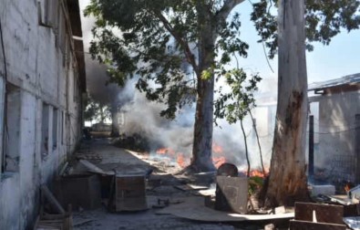İzmir'de Boş Arazide Çıkan Yangın Korkuttu