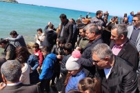 BEKIR KUVVET ERIM - Kuşadası'nda Balık Yumurtası Ve Balık Yavruları Denize Bırakıldı