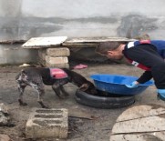 NAHÇıVAN - Iğdır'da Sigara Ve Alkol Kaçakçılığı