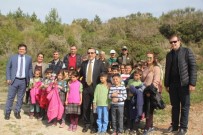 TAHSIN KURTBEYOĞLU - Kuşadası'nda Adalet Ormanı İçin Fidan Dikimi Yapıldı