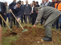 İBRAHİM SADIK EDİS - Vezirköprü'de 'Adalet Ormanı'na 500 Fidan