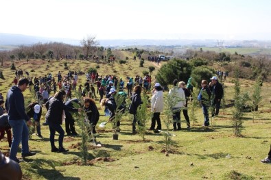 Gebze'de Öğrenciler 2 Bin 500 Fidanı Toprakla Buluşturdu