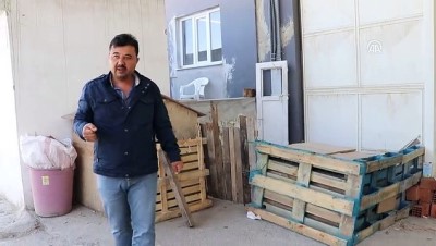 İş Yerinden Kangal Hırsızlığı Güvenlik Kamerasında