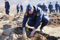 JANDARMA GENEL KOMUTANLIĞI - Jandarmadan 180'İnci Yılda 180 Bin Fidan