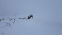 Kar Yağışı Nedeni İle Kapanan Grup Köy Yolları Ulaşıma Açıldı Haberi