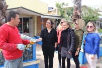 BELDIBI - Marmaris'te 25 Mahallenin 18'İnde Kadın Muhtar Adayı