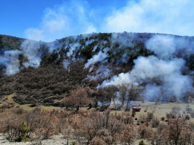 Seyitgazi Yarbasan'da Orman Yangını