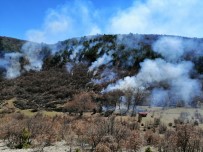 KıRKA - Seyitgazi Yarbasan'da Orman Yangını