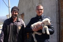 BOĞAZKÖY - Tellioğlu Bir Günde 12 Kırsal Mahalleyi Gezdi