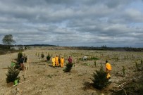 ORMAN İŞLETME MÜDÜRÜ - 1919 Fidanla '100 Yıl Kurtuluş Ormanı' Oluşturuldu