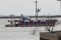 TARIM ARAZİSİ - Amik Ovası'nda Sular Çekilmiyor