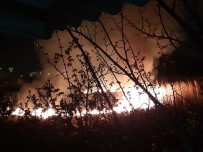 İTFAİYE ARACI - Antalya'da Sazlık Yangını