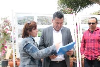 İŞARET DİLİ - Bodrum Kent Park Tamamlanıyor