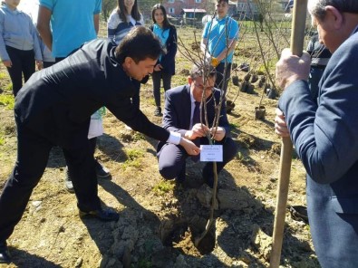 Öğrencileri Fidanları Toprakla Buluşturdu