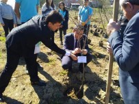 NEBIOĞLU - Öğrencileri Fidanları Toprakla Buluşturdu