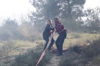 ORMAN İŞLETME MÜDÜRÜ - Orman Yangınında Soğutma Çalışmaları Sürüyor