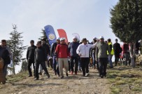 NURULLAH KAYA - Şuhut'ta Dünya Orman Haftası Etkinliği