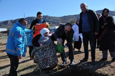 Tokat Sağlık Müdürlüğünden Fidan Dikme Etkinliği