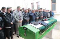 BODRUM KAYMAKAMI - 17 Yaşındaki Varol'un Cenazesinde Gözyaşları Sel Oldu