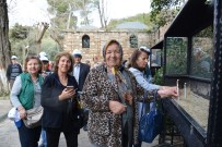 YAŞLILAR HAFTASI - Büyükşehirden Yaşlılar Haftası'nda Kültürel Etkinlikler