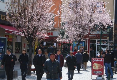 Eskişehir'de 'Bahar' Etkisini Hissettirmeye Başladı