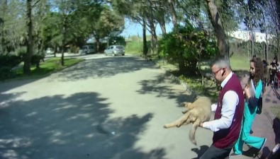 Halk Otobüsü Bu Defa Hayvan Hastanesinin Acil Servisine Direksiyon Kırdı